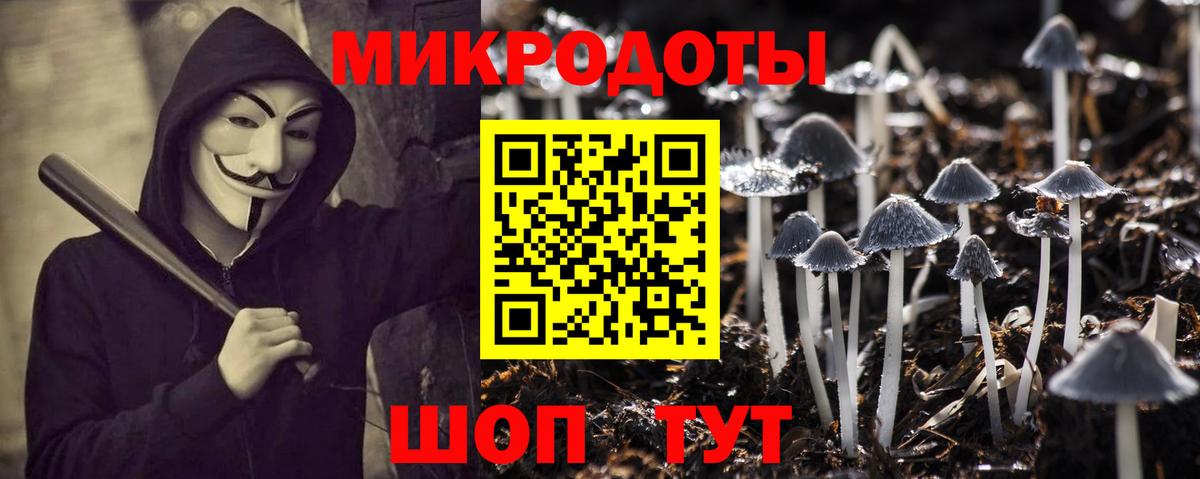 Лесосибирск  Галлюциногенные грибы прущие грибы  Галлюциногенные грибы Cubensis  Вход с VPN 